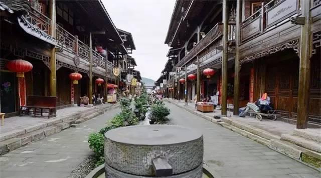 动物帮帮忙保卫家园